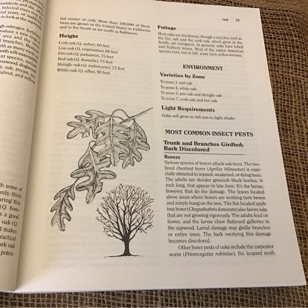 Rodale's Landscape Problem Solver Guide by Jeff Ball - Picture 4 of 7